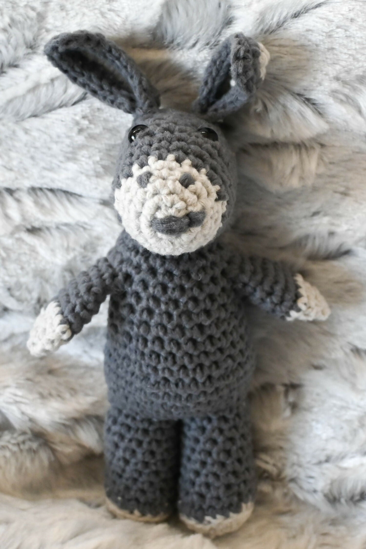 Bernardo Burro (Crochet)